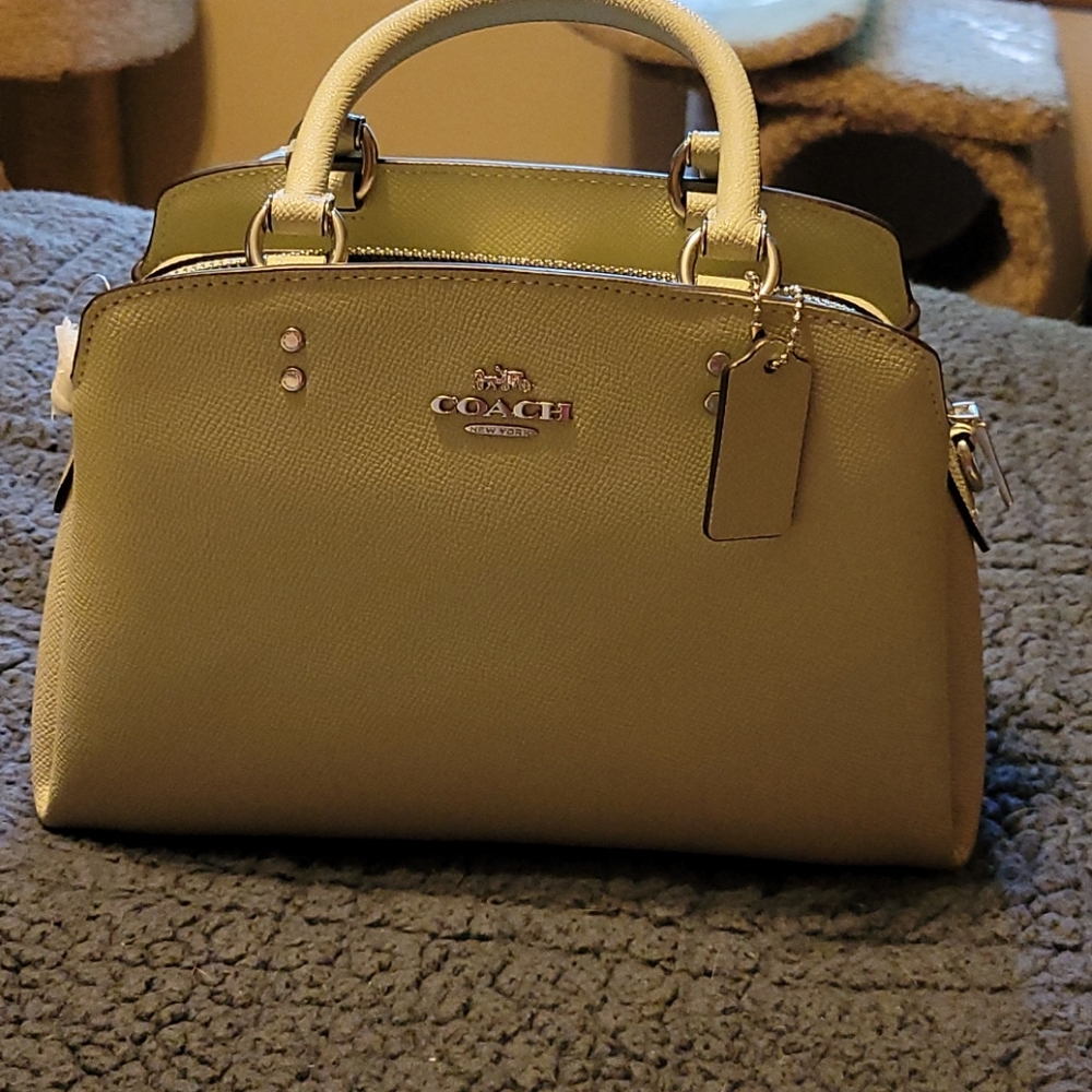 Coach Pale Green Leather Mini Lillie Carryall